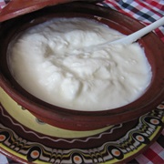 Bulgarian Yogurt
