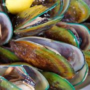Green Mussles