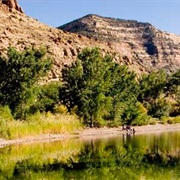James M. Robb-Colorado River State Park, Colorado