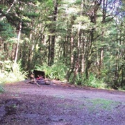 Kakapo Campsite - Central NI