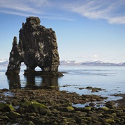Hvítserkur