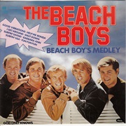 The Beach Boys Medley - The Beach Boys