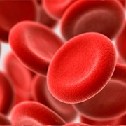 Heart Disease Awareness Month (February)