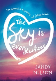 The Sky Is Everwhere (Jandy Nelson)