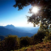 Sierra De Las Nieves National Park