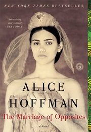 The Marriage of Opposites (Alice Hoffman)