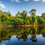 Upper Suriname River, Suriname