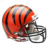 Cincinnati Bengals (NFL)