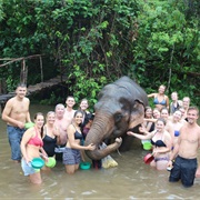 Elephant Bath/Washing Excursion