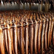 Smoked Eel - Sweden