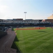 Toledo Mud Hens