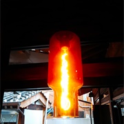 Kissed Members of Both Genders