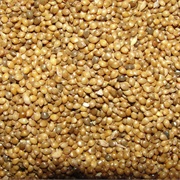 Little Millet (Panicum Sumatrense)