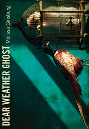 Dear Weather Ghost (Melissa Ginsburg)