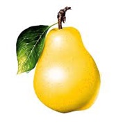 Yellow Pears
