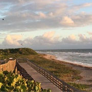 John D. Macarthur Beach State Park, Florida