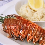 Lobster