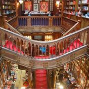 Cafebreria El Pendulo, Mexico City, Mexico