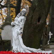 Cmentarz Powązkowski, Krakow