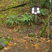 Starvation Ridge Loop