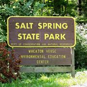 Salt Springs State Park