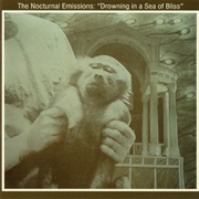 Nocturnal Emissions – Drowning in a Sea of Bliss