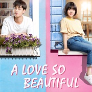 A Love So Beautiful (2017)