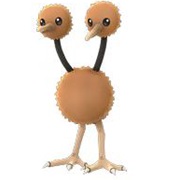 Doduo