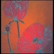 Poppies  Angelina Jensen