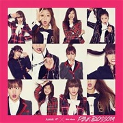 Mr. Chu - Apink