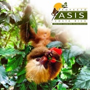 Proyecto Asis, Costa Rica