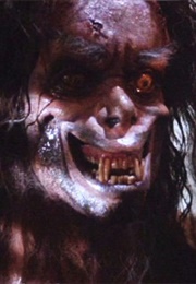 27. the Howling (1981)