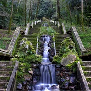 Mata Nacional Do Buçaco