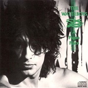 The Waterboys - A Pagan Place