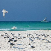 Henderson Beach State Park, Florida