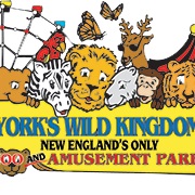 York's Wild Kingdom