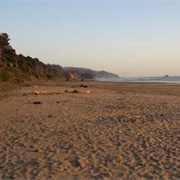 Arcadia Beach State Recreation Site, Oregon