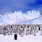 Fly to the South Pole (Antarctica)