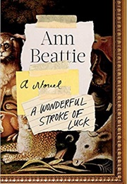 A Wonderful Stroke of Luck (Ann Beattie)