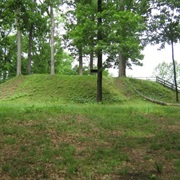 Shiloh Indian Mounds Site, Tennessee