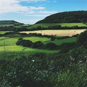 Moss Covered Technology - Southern Points