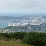 Northern Walkway Wellington