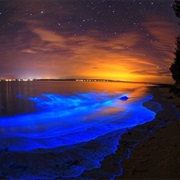 Bioluminescence of Koh Rong