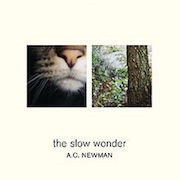 A.C. Newman - The Slow Wonder