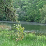 Massasoit National Wildlife Refuge