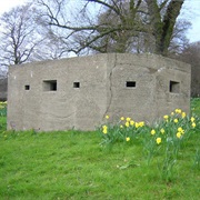 Above Ground Bunker (Long Term)