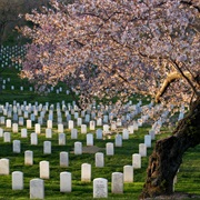 Arlington National Cemetery and the Pentagon