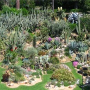 Botanic Garden (Naples)