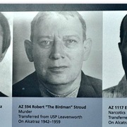 Robert "The Bird Man" Stroud