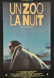 Un Zoo La Nuit